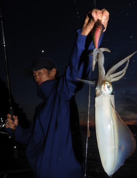 Fisherman Dreams DI 釣果