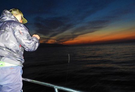 Fisherman Dreams DI 釣果