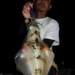 Fisherman Dreams DI 釣果