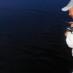 Fisherman Dreams DI 釣果