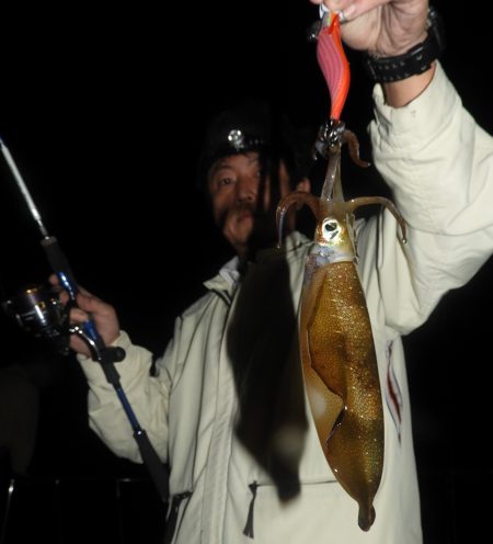 Fisherman Dreams DI 釣果