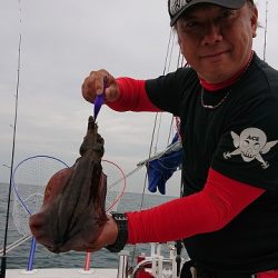 フィッシングボートACE(エース) 釣果