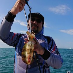 フィッシングボートACE(エース) 釣果