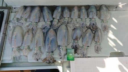 フィッシングボートACE(エース) 釣果