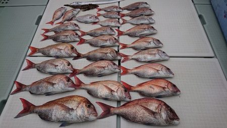 フィッシングボートACE(エース) 釣果