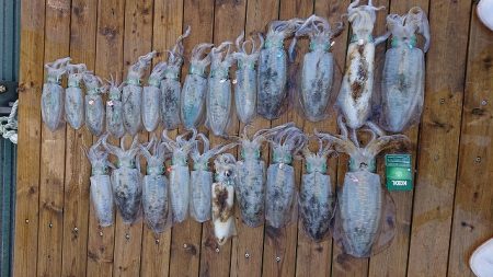 フィッシングボートACE(エース) 釣果