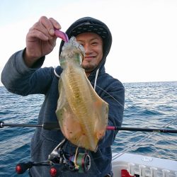 フィッシングボートACE(エース) 釣果