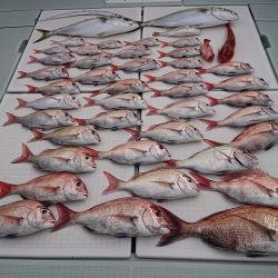 フィッシングボートACE（エース） 釣果