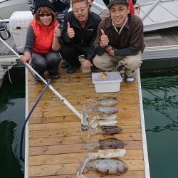 フィッシングボートACE(エース) 釣果
