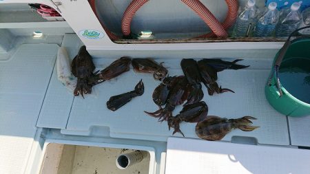 フィッシングボートACE（エース） 釣果