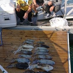 フィッシングボートACE（エース） 釣果