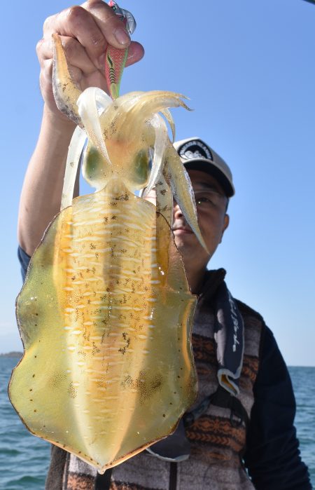 Fisherman Dreams DI 釣果