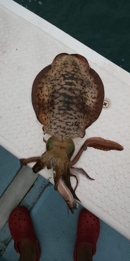 金剛丸 釣果