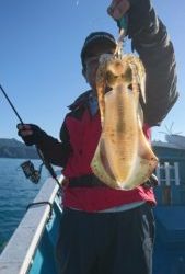 愛海丸 釣果