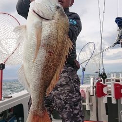 フィッシングボートACE(エース) 釣果