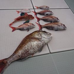 フィッシングボートACE(エース) 釣果