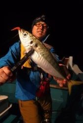 愛海丸 釣果