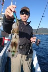 愛海丸 釣果