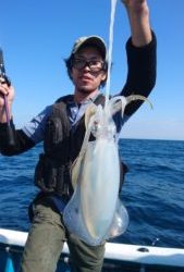 愛海丸 釣果