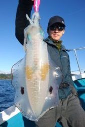 愛海丸 釣果