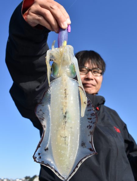 Fisherman Dreams DI 釣…