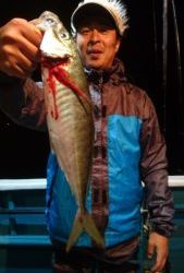 愛海丸 釣果