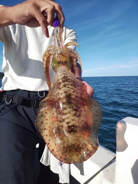 金剛丸 釣果