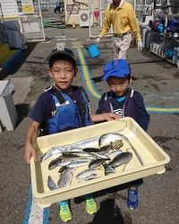 和歌山マリーナシティ釣り公園 釣果