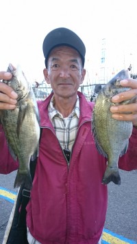 和歌山マリーナシティ釣り公園 釣果