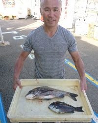 和歌山マリーナシティ釣り公園 釣果