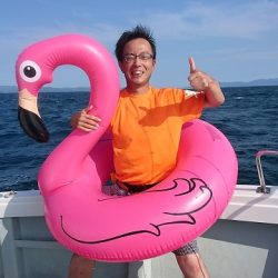 フィッシングボートACE(エース) 釣果