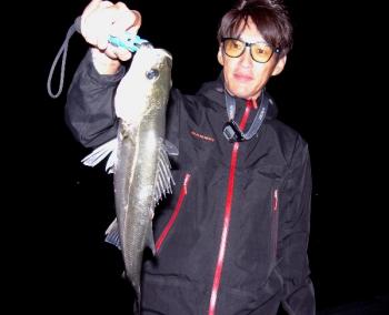 シーマジカル 釣果