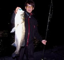 シーマジカル 釣果