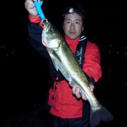 シーマジカル 釣果