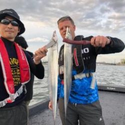 シーマジカル 釣果