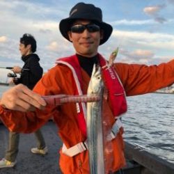 シーマジカル 釣果