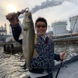 シーマジカル 釣果