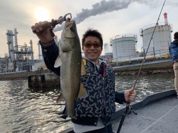 シーマジカル 釣果