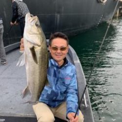 シーマジカル 釣果