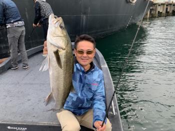 シーマジカル 釣果