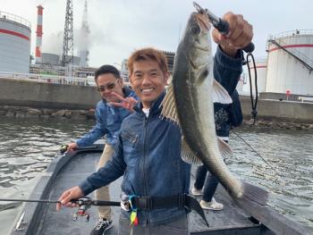 シーマジカル 釣果