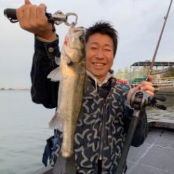 シーマジカル 釣果