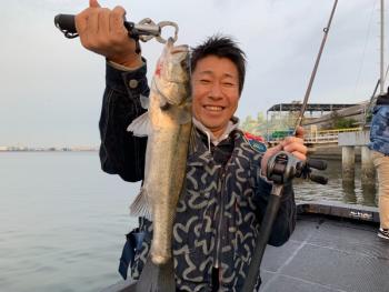 シーマジカル 釣果