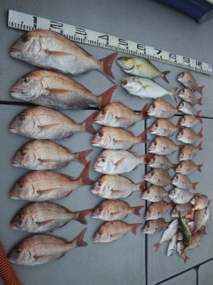 磯部釣船 直栄丸 釣果