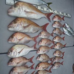 磯部釣船 直栄丸 釣果