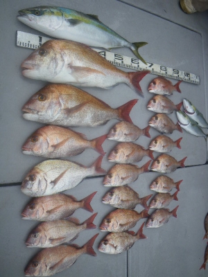 磯部釣船 直栄丸 釣果