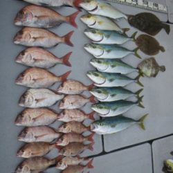 磯部釣船 直栄丸 釣果