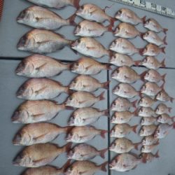 磯部釣船 直栄丸 釣果