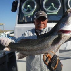 磯部釣船 直栄丸 釣果