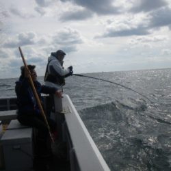 磯部釣船 直栄丸 釣果